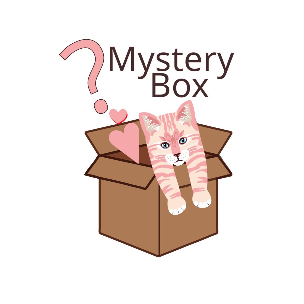 mystery box